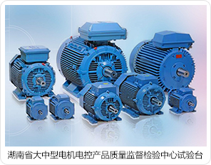 湖南省大中型電機電控產品質量監督檢驗中心試驗臺 湖南省大中型電機電控產品質量監督檢驗中心試驗臺