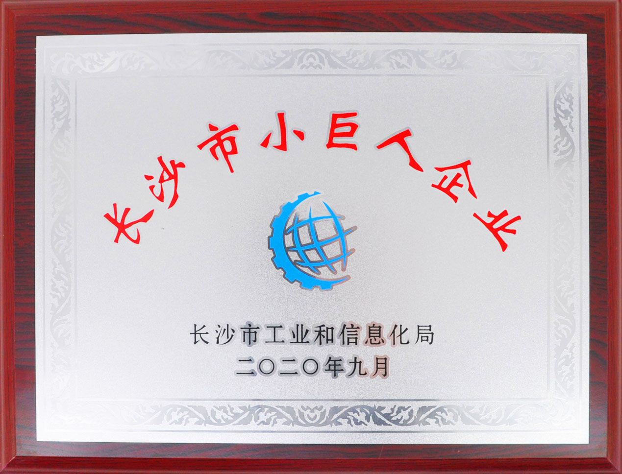 銀河電氣喜獲長沙市“小巨人企業”授牌 銀河電氣喜獲長沙市“小巨人企業”授牌